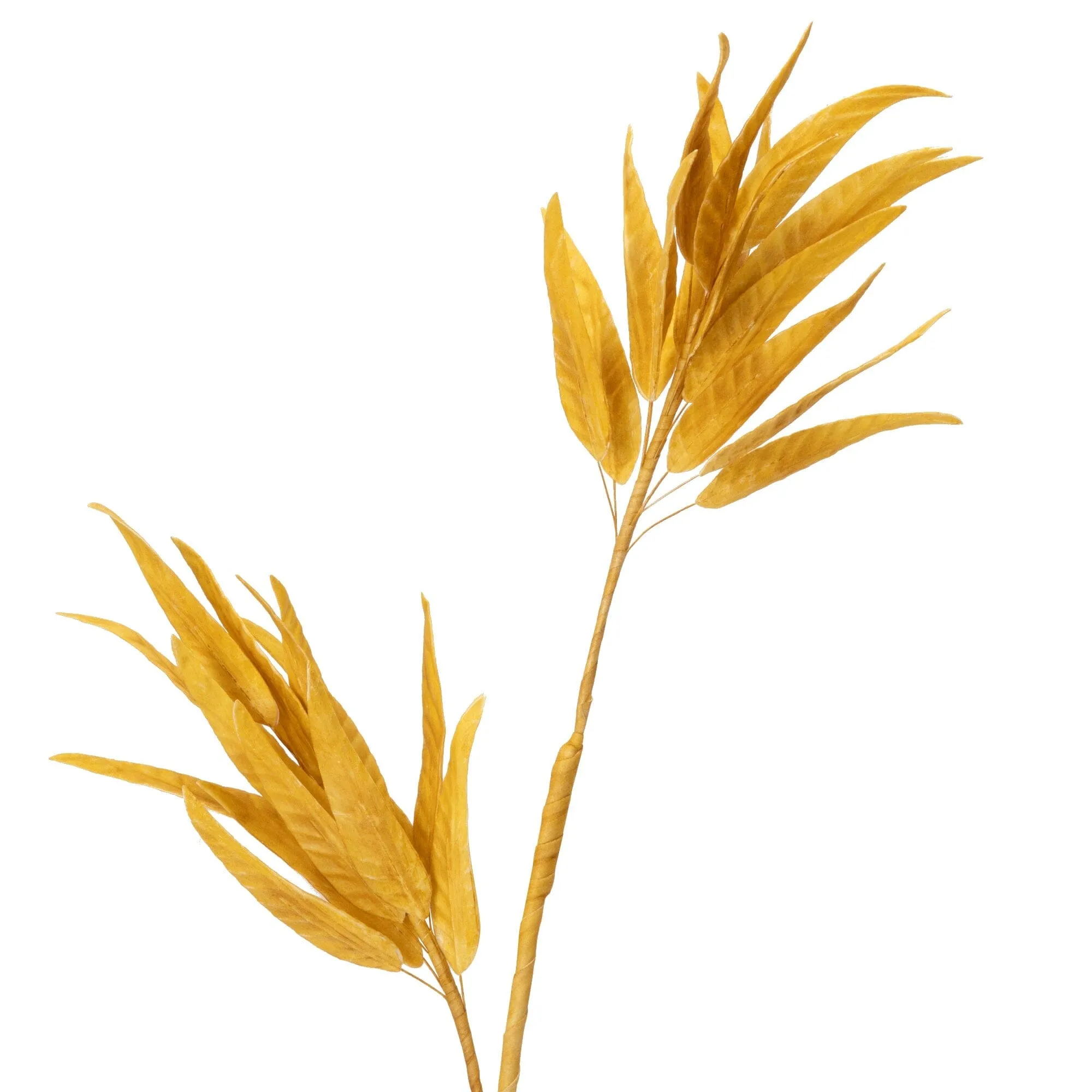 23Aw Artplants Eucalyptus Yellow