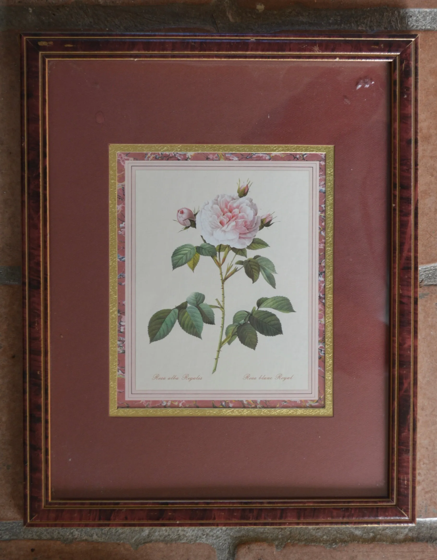 5' Instant Wall Decor!  Red & White Framed Botanical Roses Prints, Tole Shelf,  & 16 Antique Mix n Match Red Transferware Plates & Jar