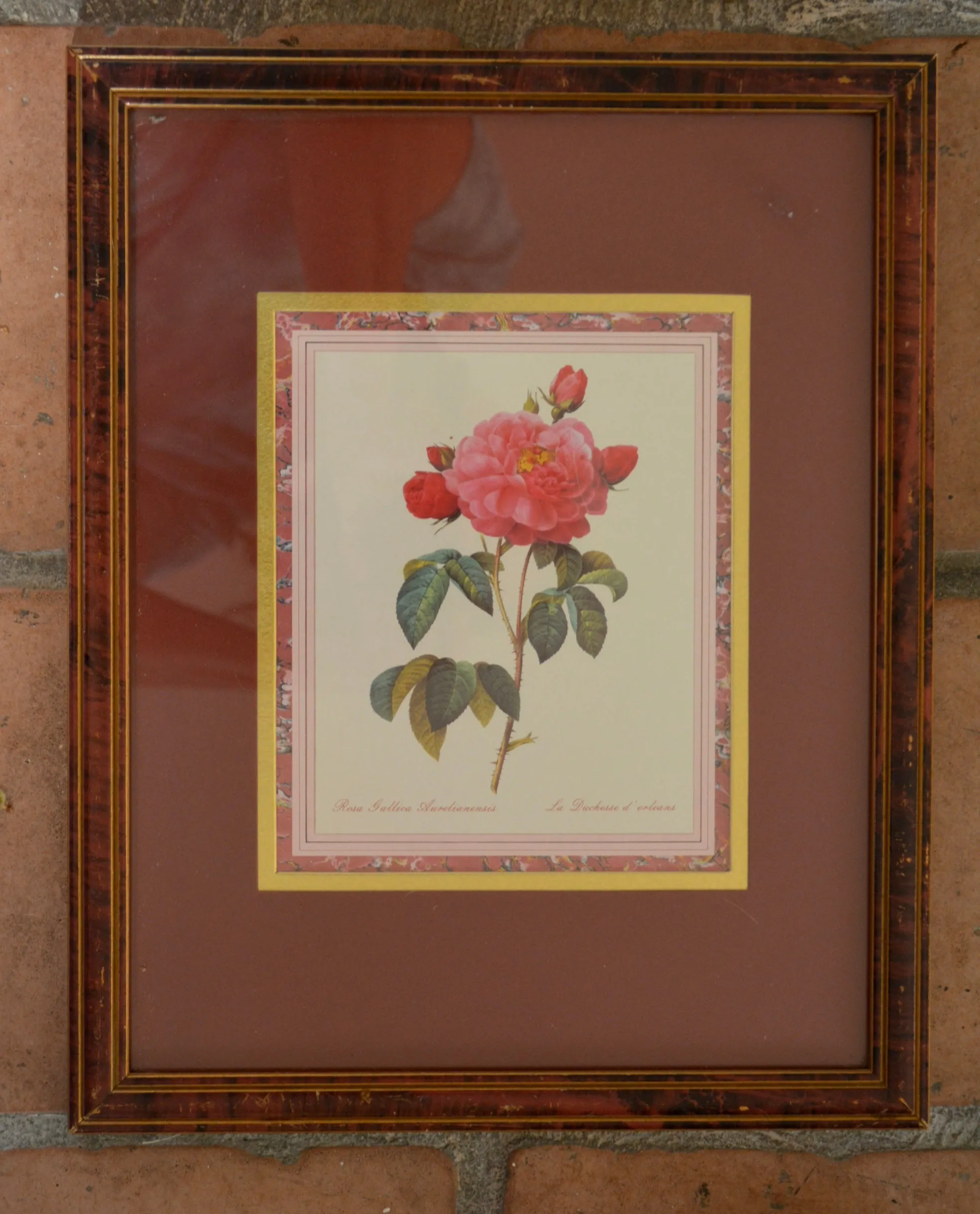 5' Instant Wall Decor!  Red & White Framed Botanical Roses Prints, Tole Shelf,  & 16 Antique Mix n Match Red Transferware Plates & Jar