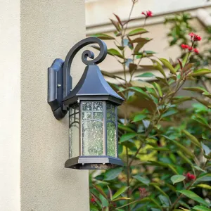 Classic Seedy Glass Wall Light: Pavilion Shape, 1 Head, Black