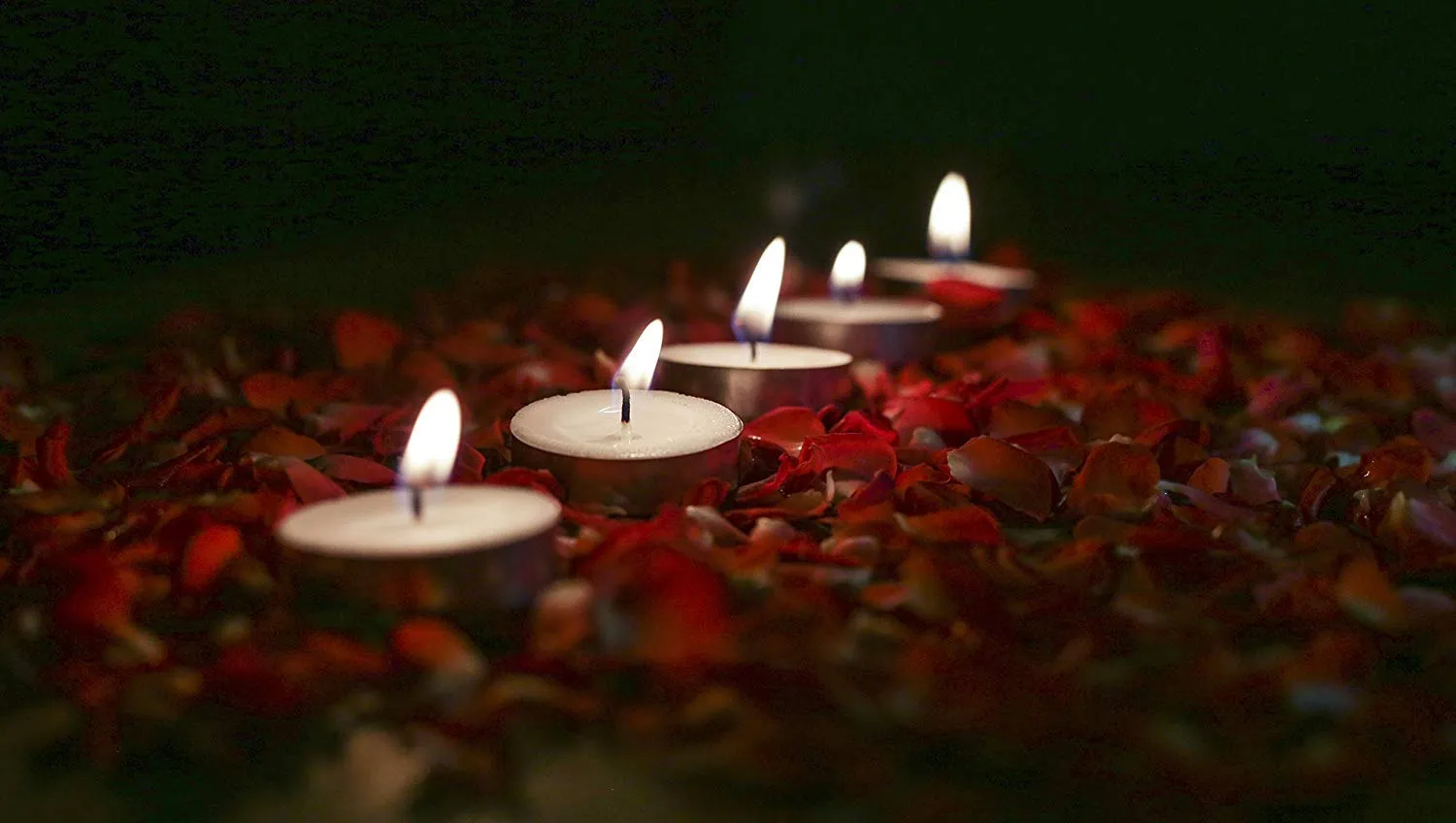 Ein Sof Set of 150 pcs Tea Lights Candles for Home Décor – 2 hrs of Burning Time White Non Scented Wax Tealight with Long Wick, Candle Light Dinner Birthday Decoration & Bedroom Diffuser t Lamp