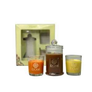 EKAM Gift Set of 3 Scented Candles| Long Lasting| Ideal for Home Décor, Aromatherapy & Gifting| Lead-Free Wick| Mahogany Apothecary Candle| Grapefruit & Mandarin and Honey & Lemon Shot Glass