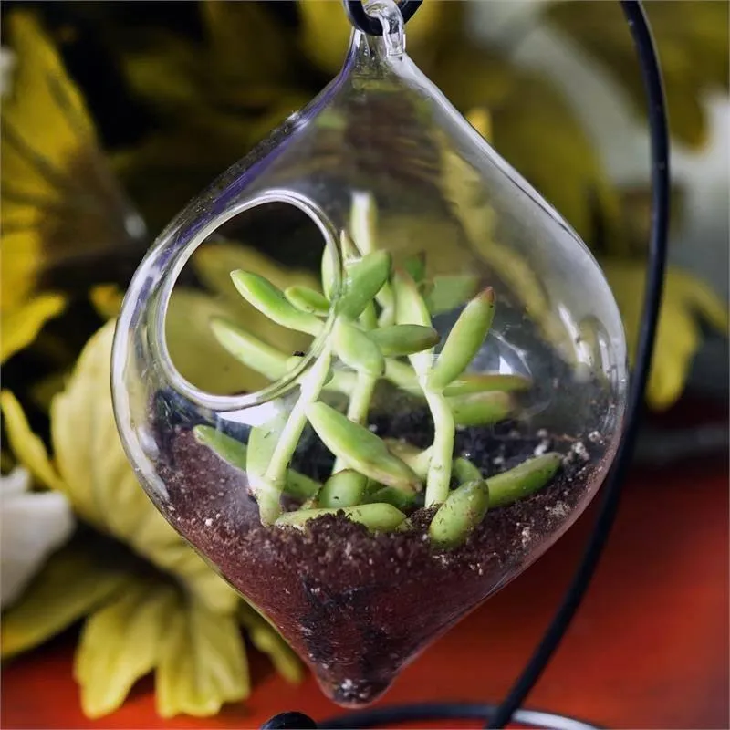 Floating Diamond Glass Terrarium 4/pk