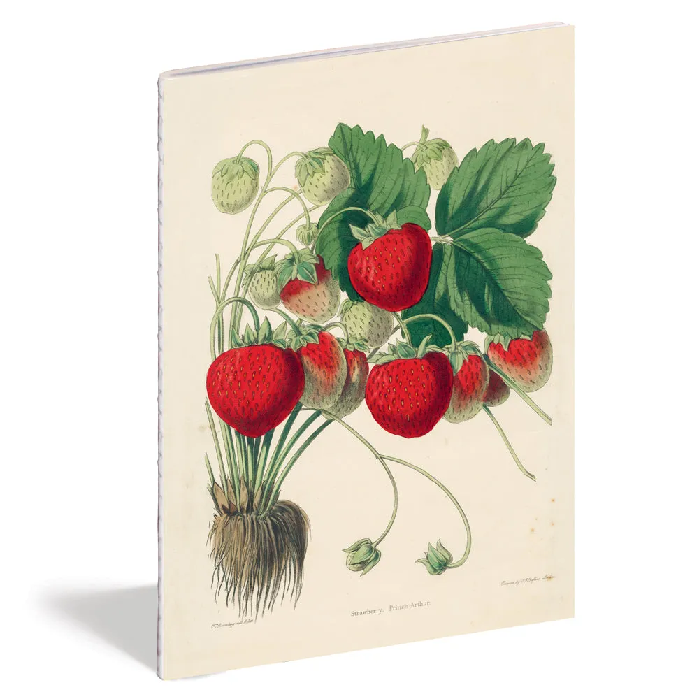 Kitchen Delight Notebook Set