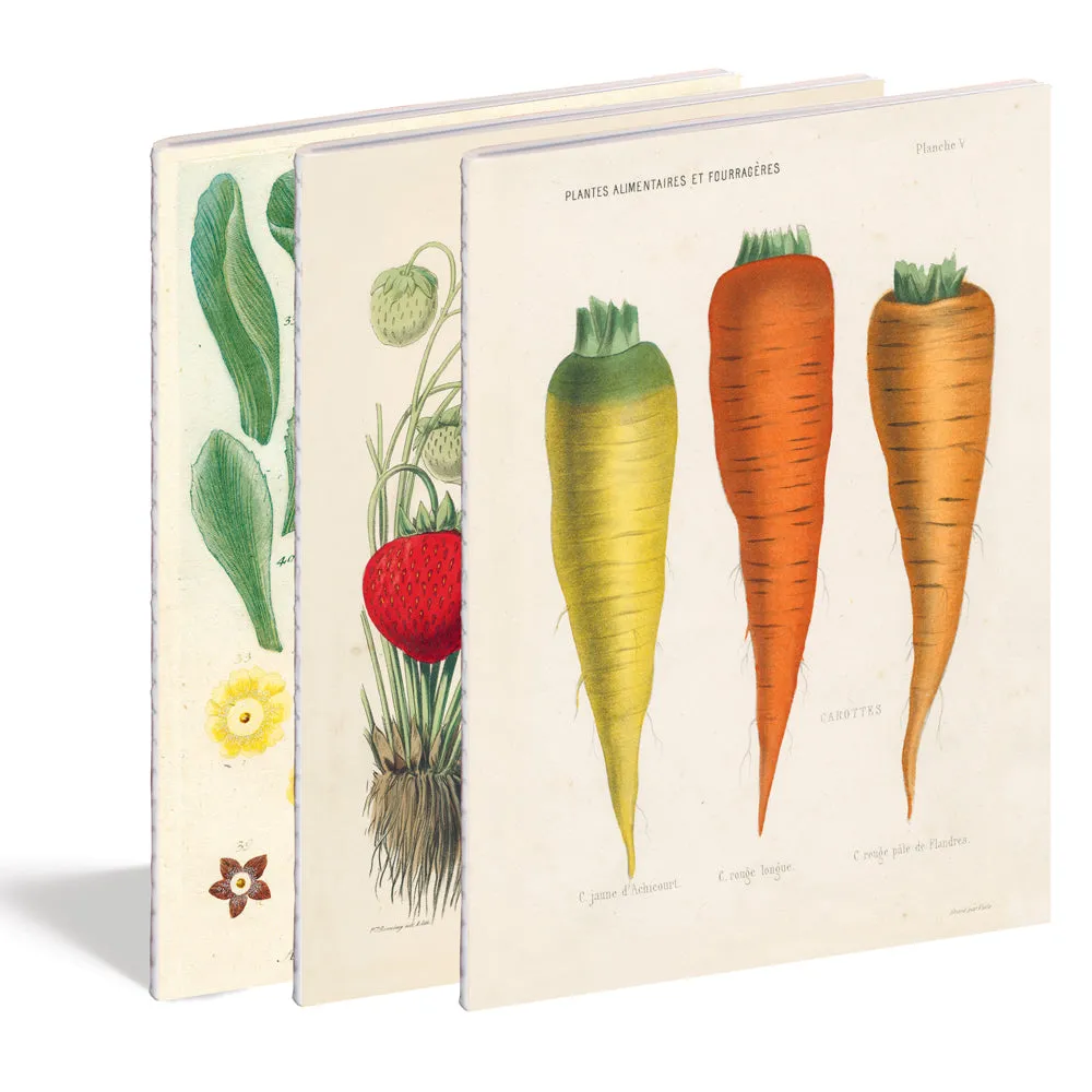 Kitchen Delight Notebook Set