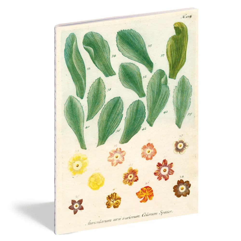 Kitchen Delight Notebook Set