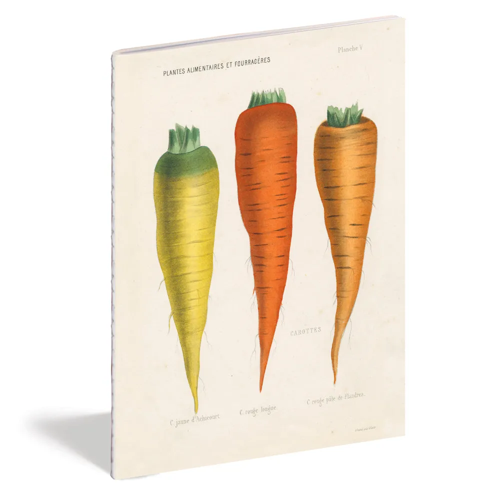 Kitchen Delight Notebook Set