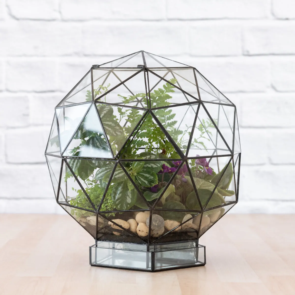 Terrarium - Biodome