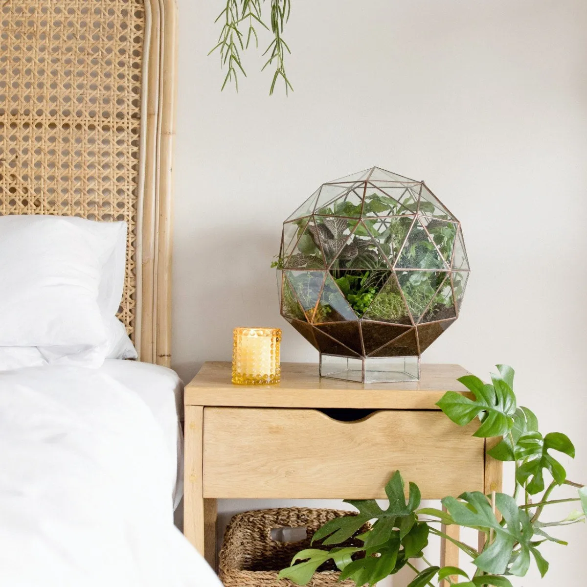 Terrarium - Biodome