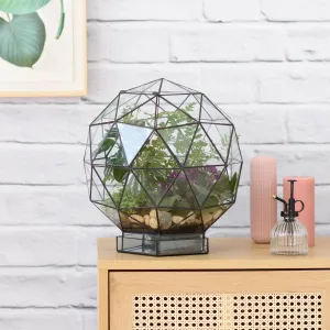 Terrarium - Biodome