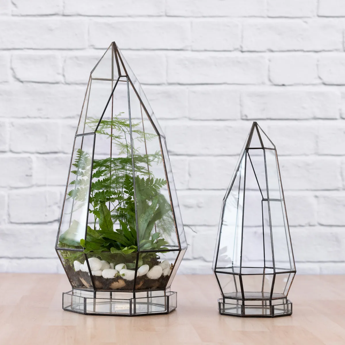 Terrarium - Cathedral