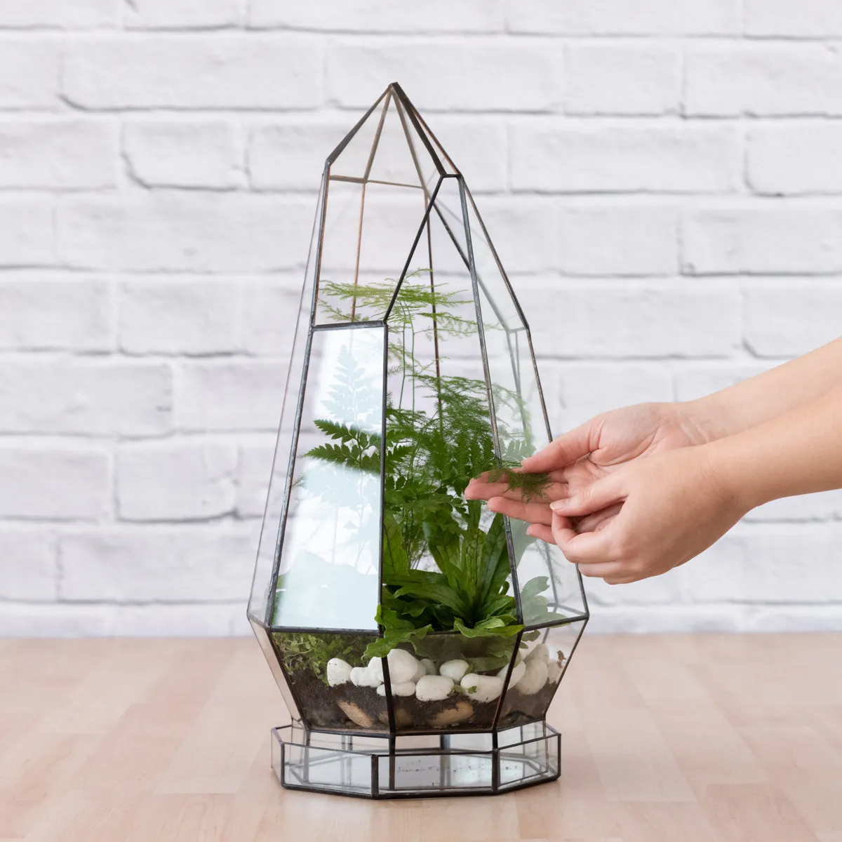 Terrarium - Cathedral