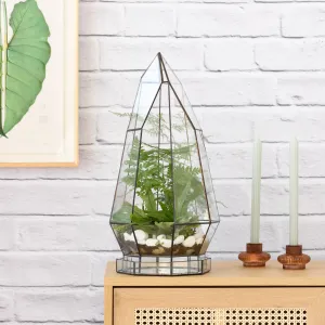 Terrarium - Cathedral