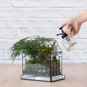Terrarium - Deco House