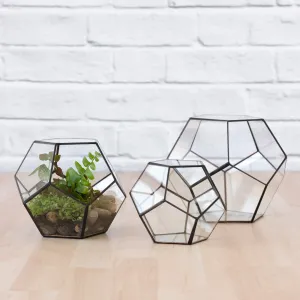 Terrarium - Geometric