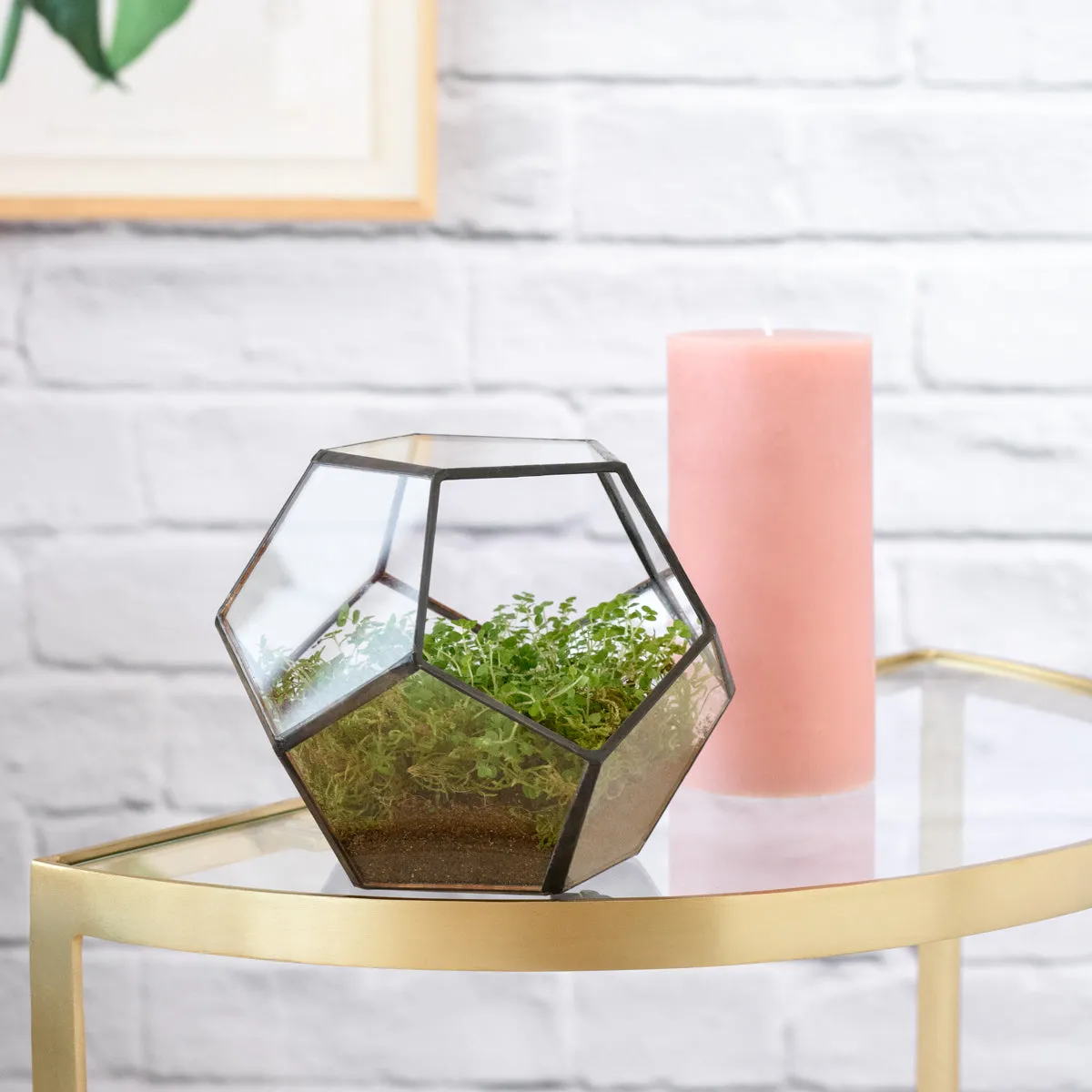 Terrarium - Geometric
