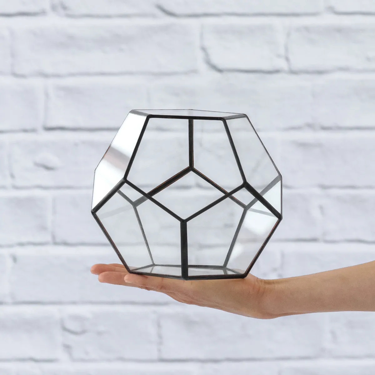 Terrarium - Geometric