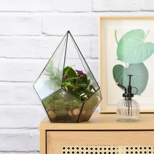 Terrarium - Pentagon