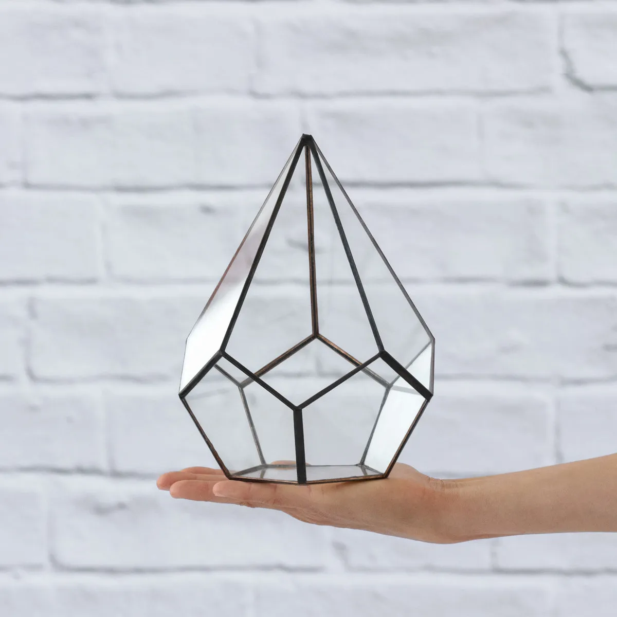 Terrarium - Pentagon