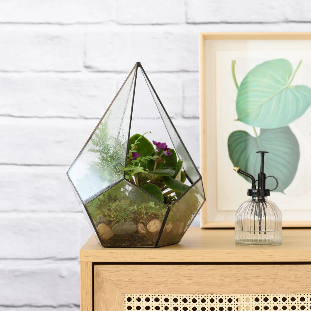 Terrarium - Pentagon