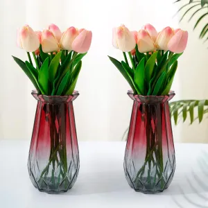 UMAI Glass Vase for Home Decor (2Pcs- 20cm) |Center Table Decorative Items| Flower Vases for Home Decor| Dining Table Decorative Items| Transparent Flower Vase for Living Room, Bookshelf| Red-Grey