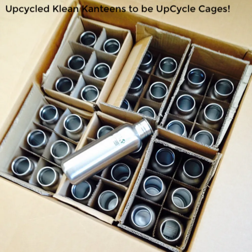 UpCycle Cage